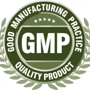 gmp-logo-png-6